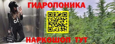 стаф Тверь