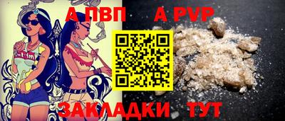 стаф Тверь
