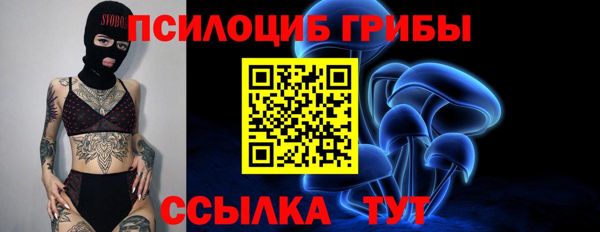 Псилоцибиновые грибы Magic Shrooms  Галлюциногенные грибы ЛСД  Братск  Вход с VPN 